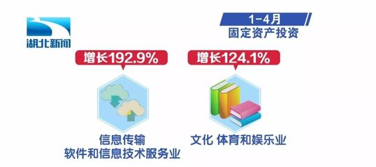 湖北1-4月經(jīng)濟運行數(shù)據(jù)出爐 軟件和信息技術(shù)服務(wù)業(yè)展現(xiàn)強勁動能